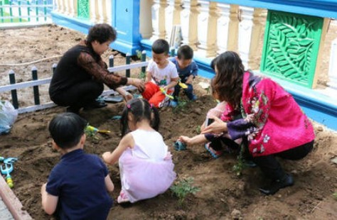 幼儿园种植计划